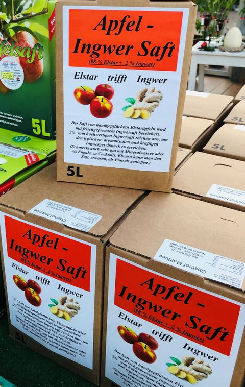 ingwer